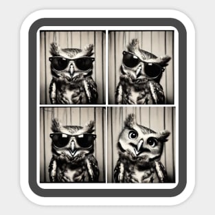 This Stylish Owl Strikes Fun And Expressive Poses In A Photobooth Sticker